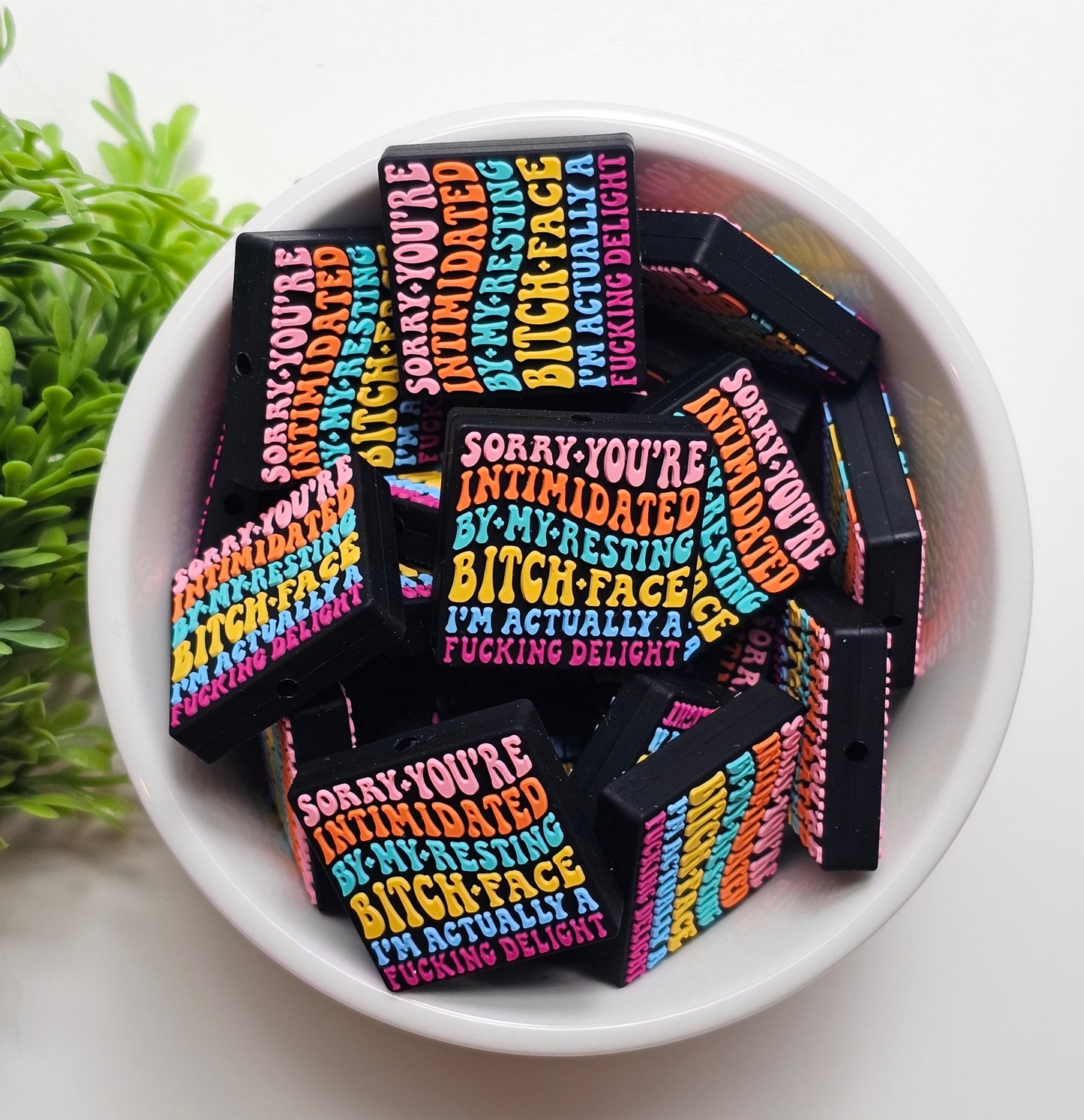 Sorry You're Intimidated Focal Bead